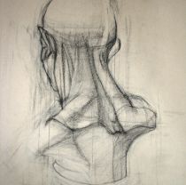 2nd yr conservator   cast study   conte