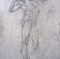 Taylor Pearce drawing