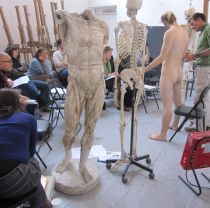 Anatomy class