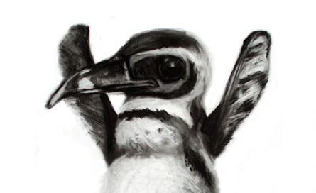 From Penguin to Flippinche, charcoal on paper, inspired by Zoe Pancaldo Turoff aged 9