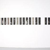 	Patricia Swannell