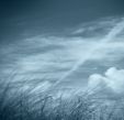 Way To Blue still