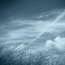 Way To Blue still