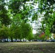 Cleaver Square