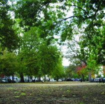 Cleaver Square