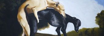 Conservation Studies 2011
