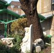 The stone yard