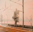 Carolyn Blake