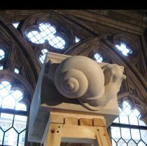 snail