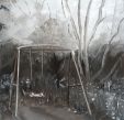 Carolyn Blake