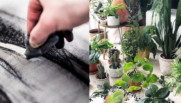 Big Draw 2019 - The Power of Plants