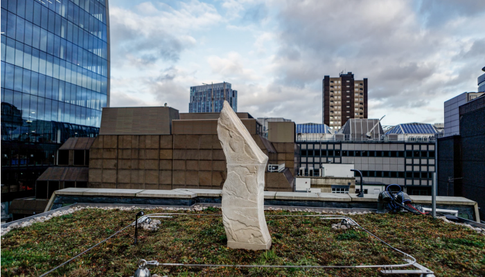 Interdisciplinary collaboration on City installation